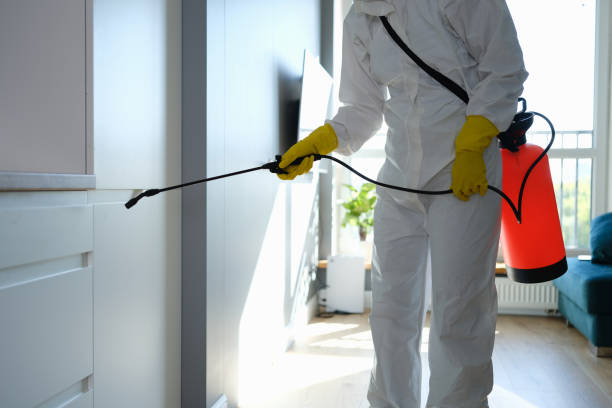 Best Mold Remediation  in Glencoe, FL