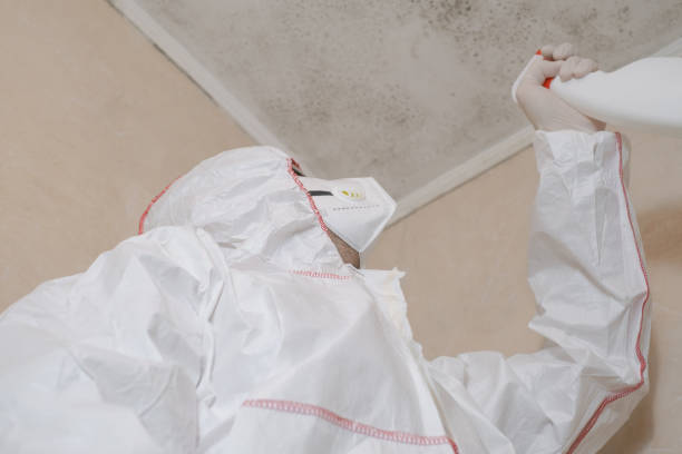 Best Office Mold Removal Services  in Glencoe, FL